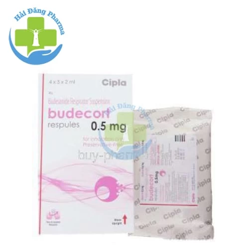 Budecort 0.5mg Respules - Hộp 4 túi x 5 ống x 2ml